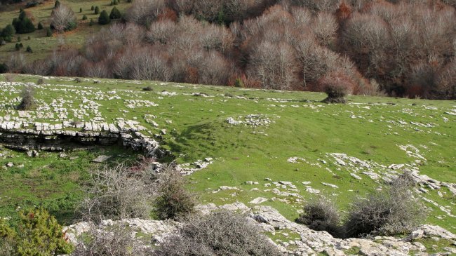 Riberos txabola tumularra, Andia