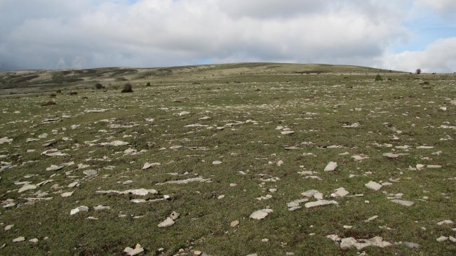 Los Mangones 3 hego eraztun tumulua, Andia