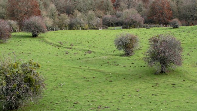 Ingiriko Portillua etxola hondoa, Andia