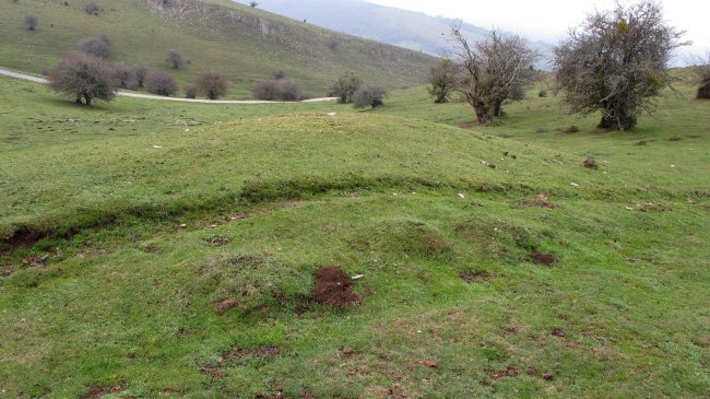 Sosaportillo 2 hego etxola hondoa, Andia