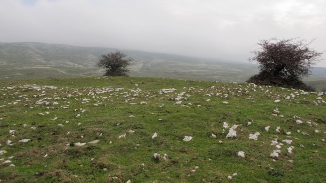 Usalderen eraztun tumulua, Andia