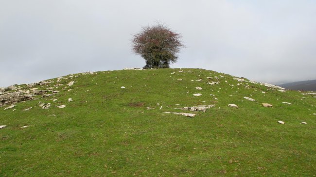 El Espino tumulua, Andia