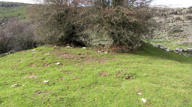 El Orinal txabola tumularra, Andia