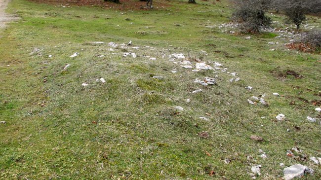 Tximua tumulua, Urbasa