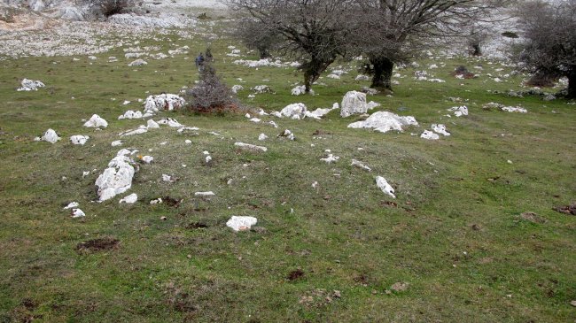 Arrangarte tumulua, Urbasa