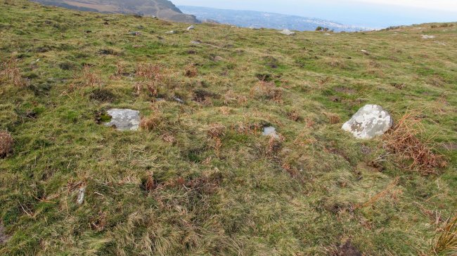 Sualar harrespila, Sara