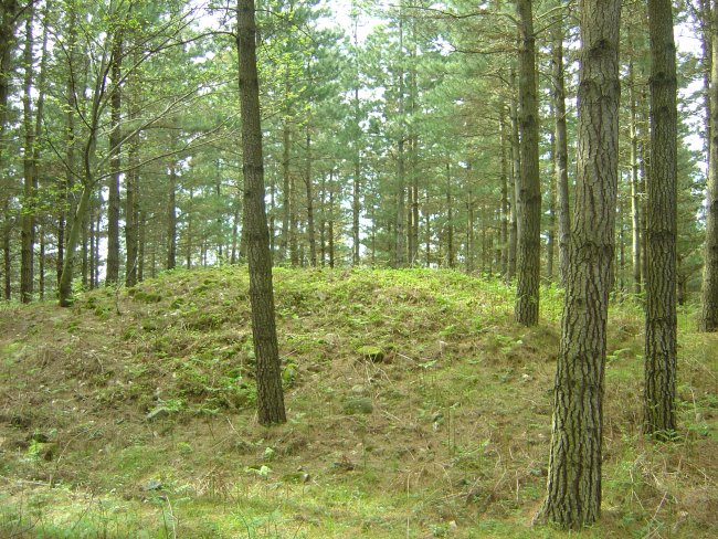 Dólmen Mejandi  (Mayo 2012)