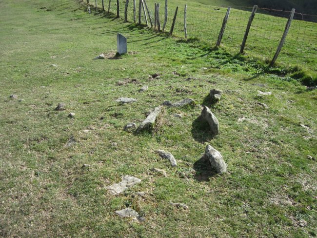 Cista Atxurbi   03-2013