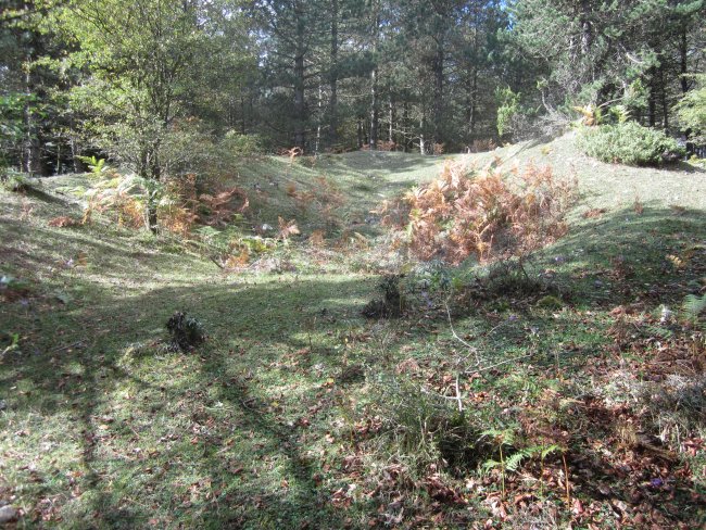 ¿Túmulo Lezana 1 ?        Octubre 2013