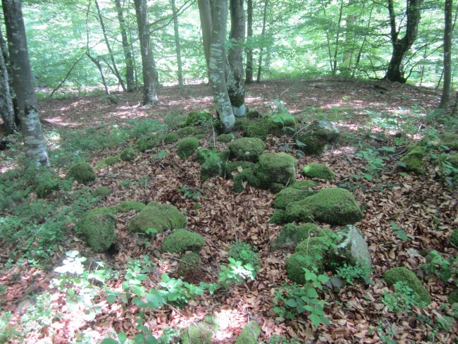 Dólmen Intxuspe 1 Ipar   (Junio 2014)