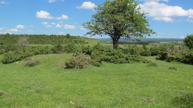 Kisuerreka tumulua, Urbasa