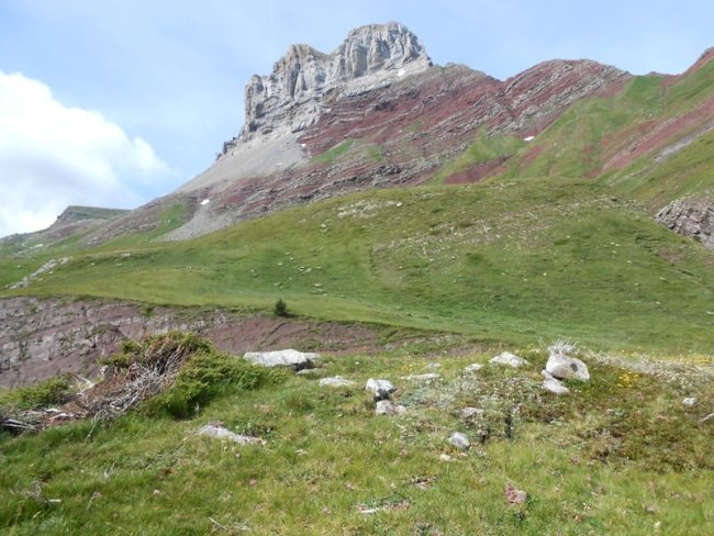 barranco barcal trikuharria