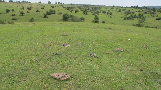 Alto de Errekasanta 2 tumulua, Urbasa