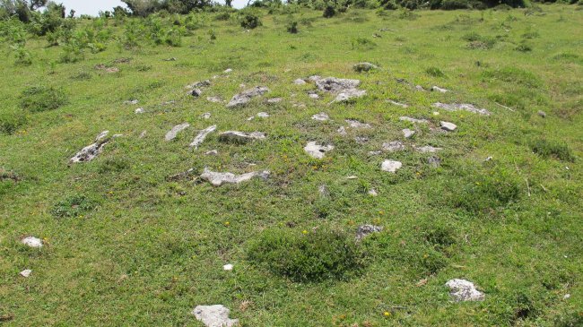 Soiluze tumulua, Urbasa