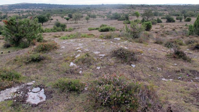 SB 33 tumulua, Badaia mendikatea