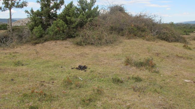 Portillo de Eza 1 tumulua, Badaia mendikatea