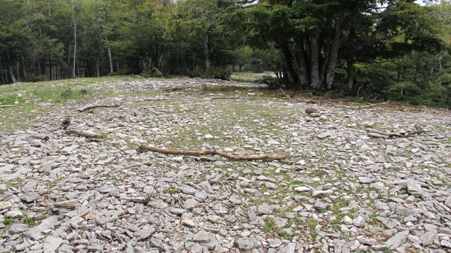 Ezkiaundi tumulua, Urbasa