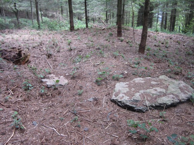 Túmulo Keixeta   (Abril   2015)