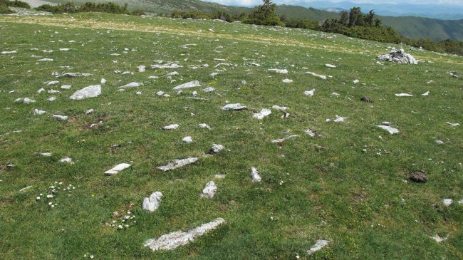 Irunsarioko bidea 1 hego tumulua, Andia