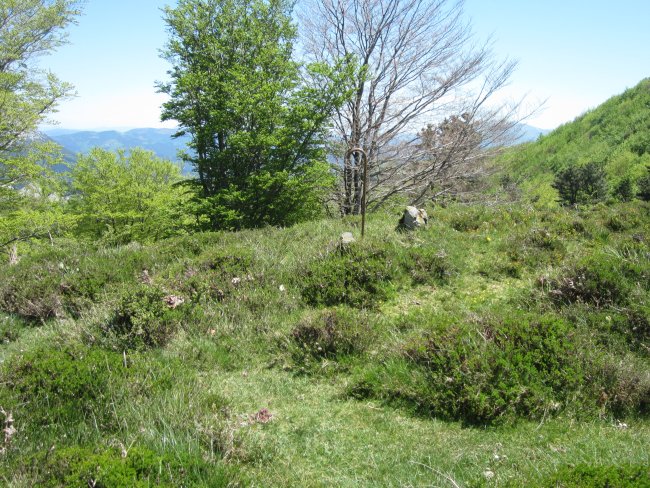 Dólmen Zabalandi-Anbotoste   (Mayo 2015)