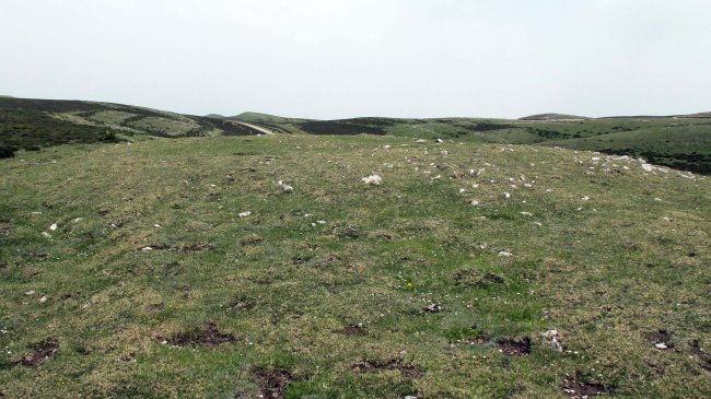 Artezabal eraztun tumulua, Andia