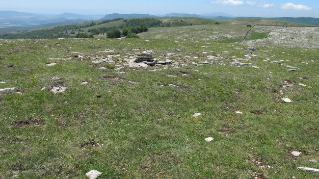 Artxurieta 3 ipar tumulua, Andia