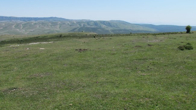 Sima del Caballero eraztun-tumulua, Andia