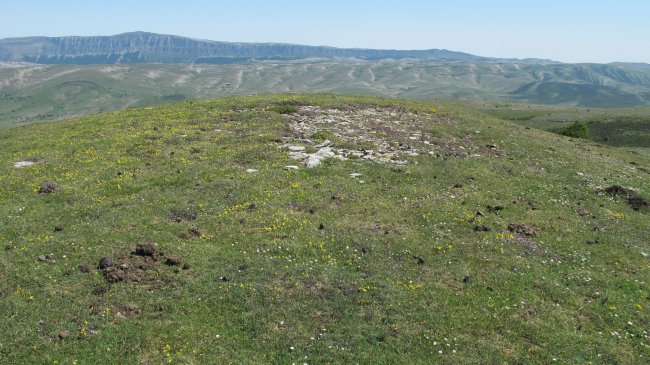 Zaborrateko Aldapa tumulua, Andia