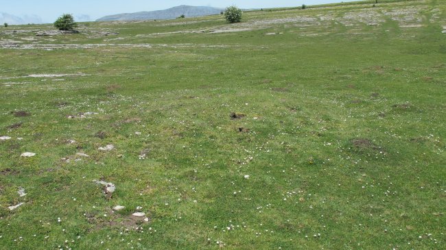 Larrenganbela 3 etxola hondoa, Andia