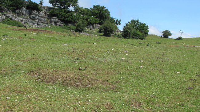 Larginburuko Bidea etxola hondoa, Andia