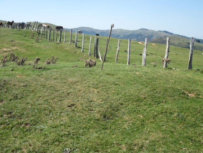 Túmulo Aztakarri 1  (Agosto  2015)