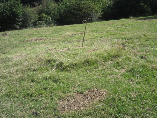 Túmulo Ata 4 (Agosto  2015)