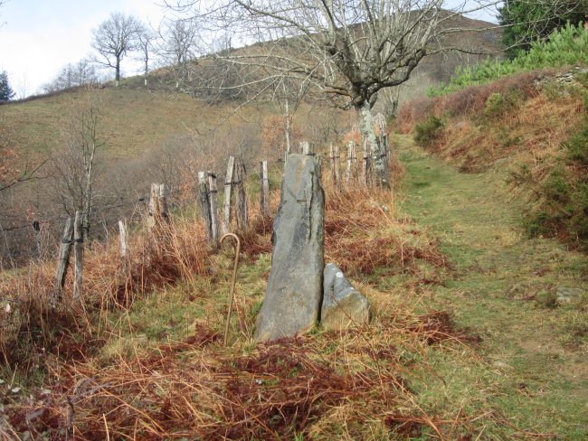 Menhir Belarregi  (Febrero 2016)