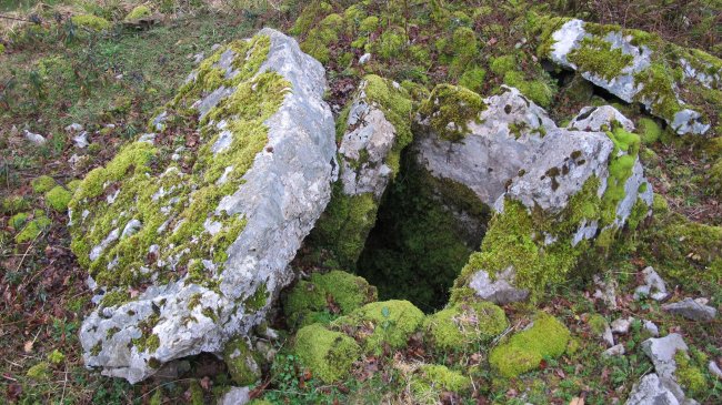 Milaldapa trikuharria, Oderitz-Larraun