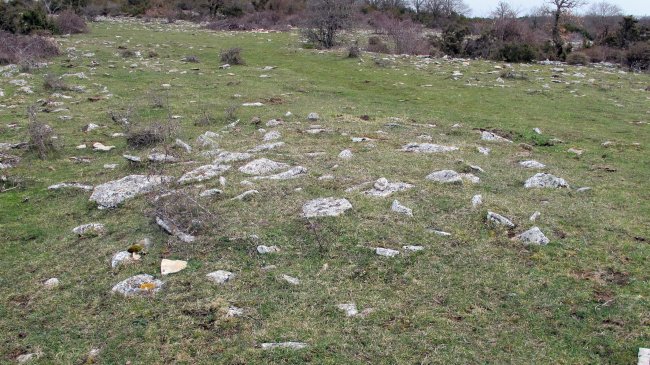 Arizdia 7 tumulua, Azantza-Goñi