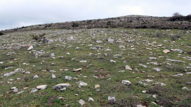 Balsa Illarradi 1 tumulua, Azantza-Goñi