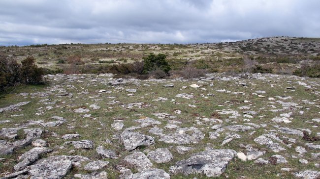 Korostegi 2 eraztun-tumulua, Azantza-Goñi