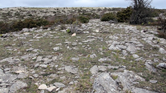 Mugartxondoa tumulua, Egilor-Ollo