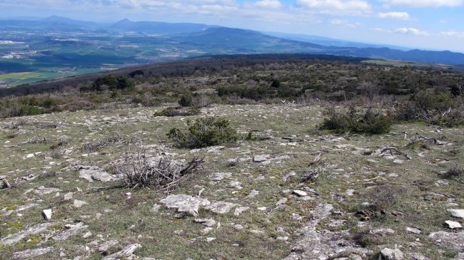 Mortxe 6 eraztun-tumulua, Egilor-Ollo