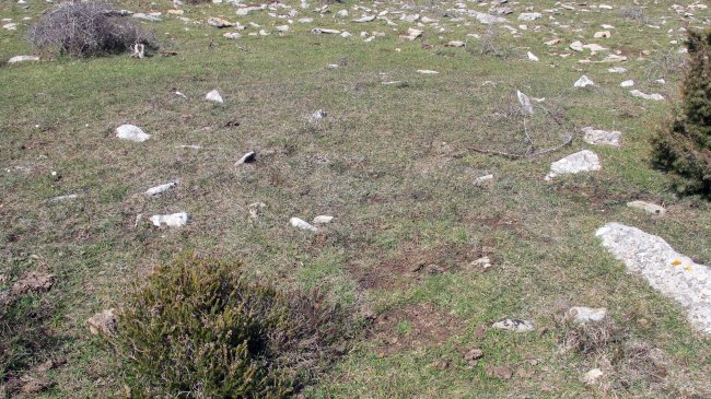 Mortxe 3 tumulua, Egilor-Ollo