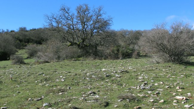 Itxasorde 1 eraztun-tumulua, Azantza-Goñi