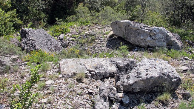 Puyomediano trikuharria, Domeño-Erromantzatua