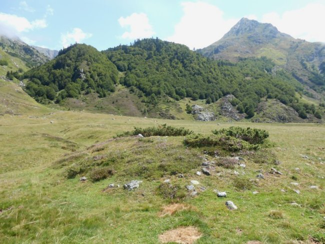 Soussoueou trikuharria