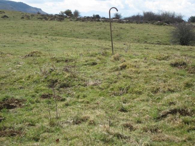 Fondo de Cabaña Urruztume II  (Marzo 2016)