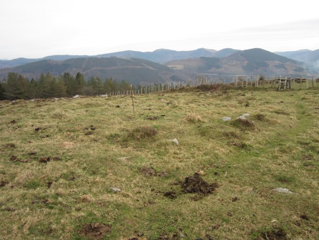 Cromlechs Almitxuri  (Enero 2016)