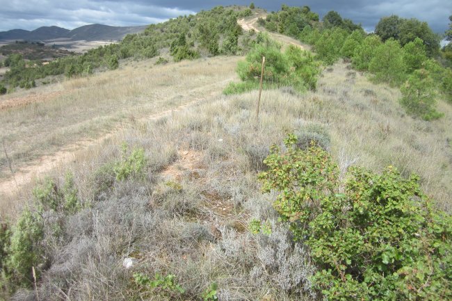 Túmulo San Quílez  (Septiembre 2017)