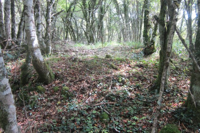 Túmulo Artabakar  (Octubre 2017)