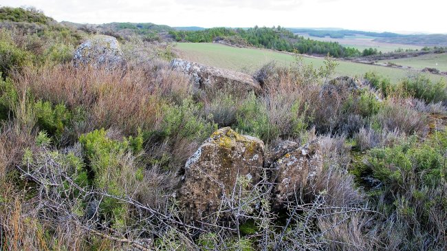 Jugondo 5 trikuharria, Artaxoa