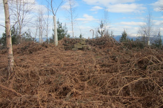 Túmulo Pagotxueta 2  (Febrero  2018)