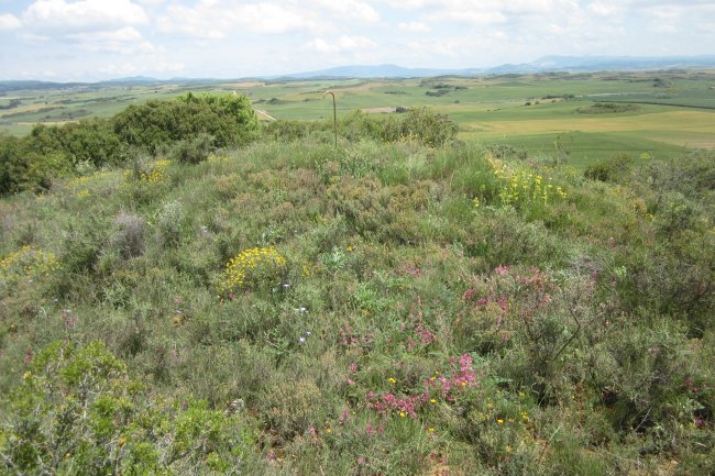 Túmulo Kortabairrieta  (Junio  2018)